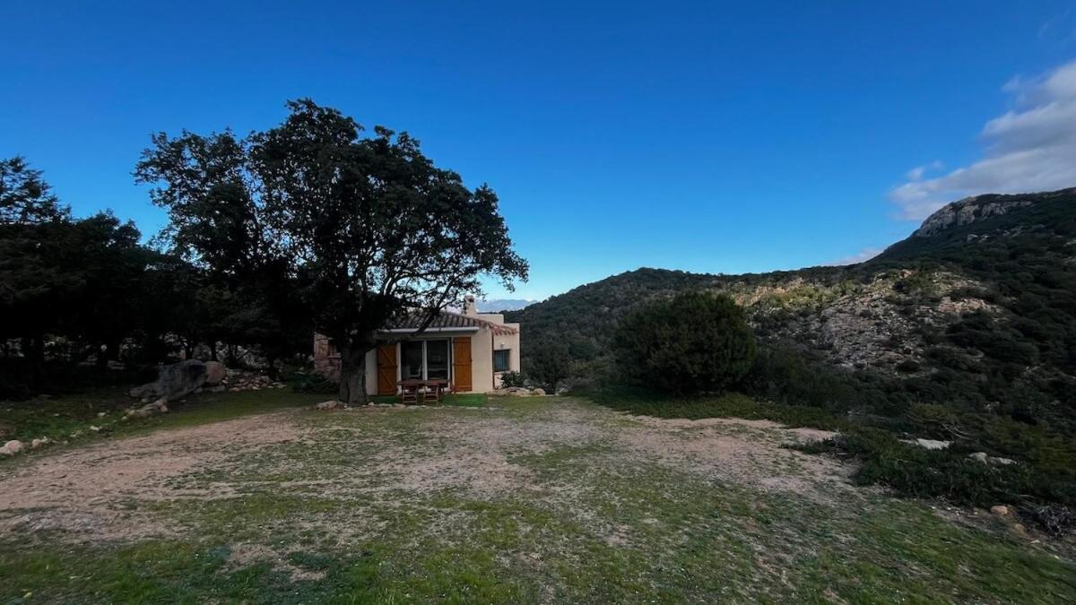 Villa 100m2, pleine nature, vue mer Porto-Vecchio (Corsica) Eksteriør billede